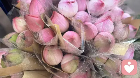 先爱己，后爱人，才是余生最好的活法