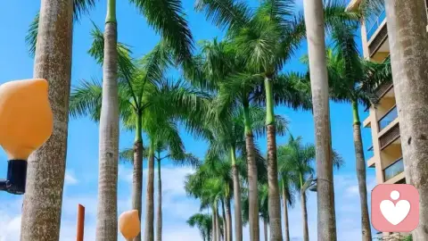 浅析爱情与婚姻的本质与不同