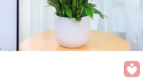如何让自己不再焦虑