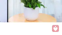 如何让自己不再焦虑