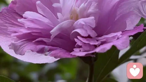 我看到了最扎心的真相
