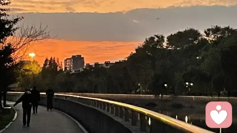 明明生来是天鹅，为何一直活成丑小鸭？