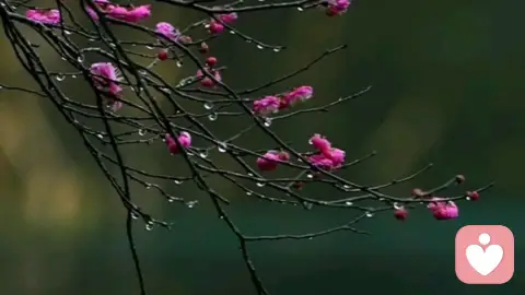 真正的救赎
