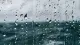 雨天的“白噪音”最抚凡人心