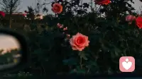 每个孩子终将走出圈外：家庭系统里最好的结界是守护