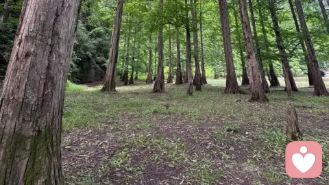 用飞轮效应终结万事开头难的终极指南