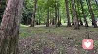 用飞轮效应终结万事开头难的终极指南