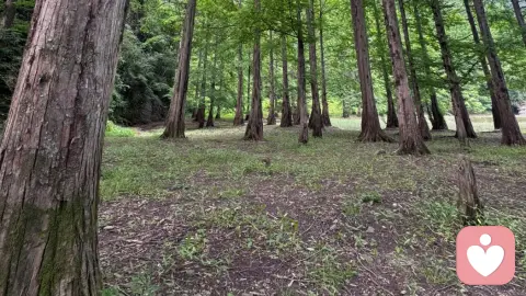 别让皮格马利翁效应，活成别人期待的样子
