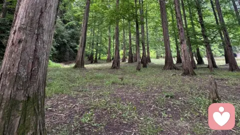 打破证实性偏差，停止活在自己的真相里