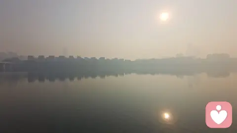 《随观心论》• 察念篇 • 1. 何为随观:我找到的最简单的自救之法