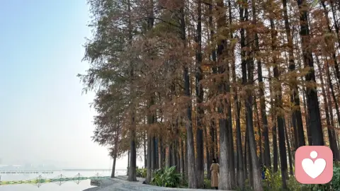 你是不是“共情泛滥”?比没有共情更累的,是替别人活