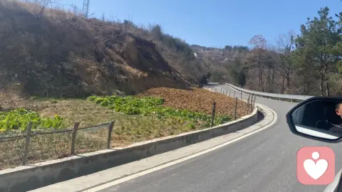 职业规划与个体心理及生理健康的关系