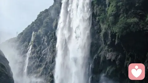 《随观心论》• 察念篇 • 2. 心的真相:原来你不是你的念头