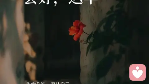 先安顿内心,再经营好烟火人生