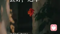 先安顿内心，再经营好烟火人生