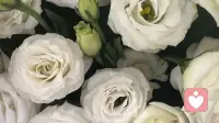 心理随笔系列｜一个懒人的减肥通关实录