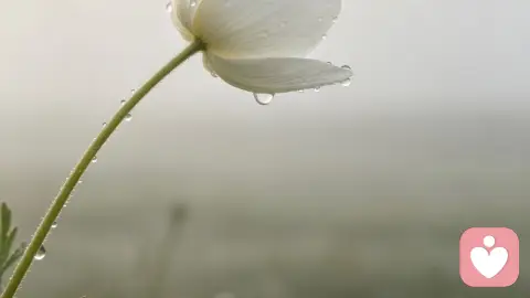 微笑背后，是整个宇宙的眼泪