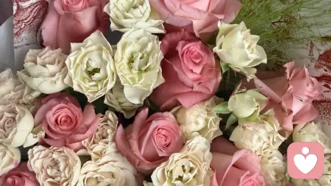 毕业季
