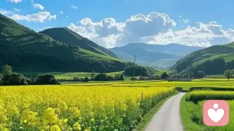 既然出去旅行，那一定要开开心心啊！