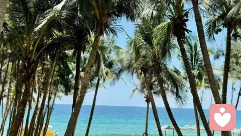 人性的善恶
