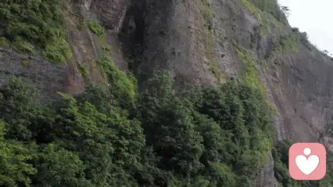 《随观心论》• 正心篇 • 8. 八秒止损法:情绪爆发时的救命符