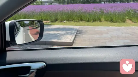 本心自稳 不必借世人定义