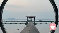 为什么懂了那么多道理，还是忍不住发脾气？脑科学告诉你答案