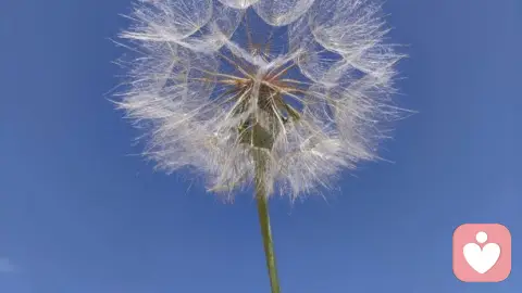 趣聊动植物的“变态心理”