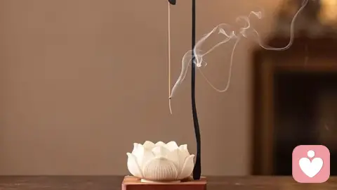 中国式亲子隔阂—— 孩子学会撒谎，源头是一次次不被接纳的喜好；