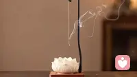 中国式亲子隔阂—— 孩子学会撒谎，源头是一次次不被接纳的喜好；