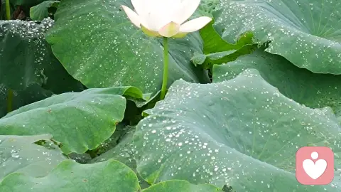 接纳人生底色，活出自主人生——读《存在主义心理治疗》有感