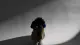 当你抑郁了，你可以试着这样做