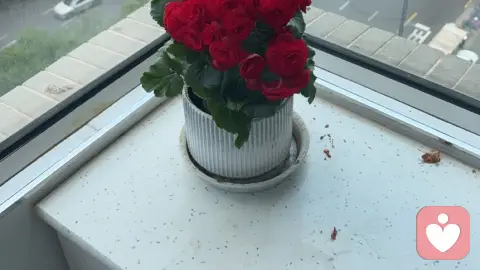 隐秘的深情