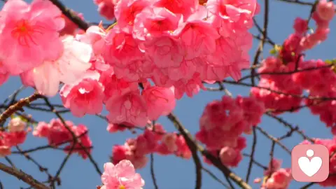 自我价值感低的人,更在意“别人的声音”