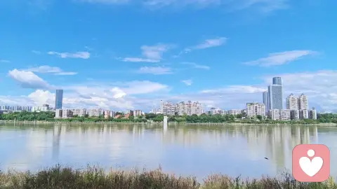 《随观心论》• 正心篇 • 12. 正心初成:你可以选择你的反应