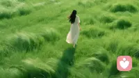 代际创伤轮回闭环：为什么一家人总在重复相同的悲剧命运