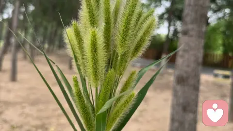 世上最无形的监狱，关住了90%的成年人