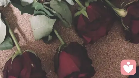平静是最好的感知力