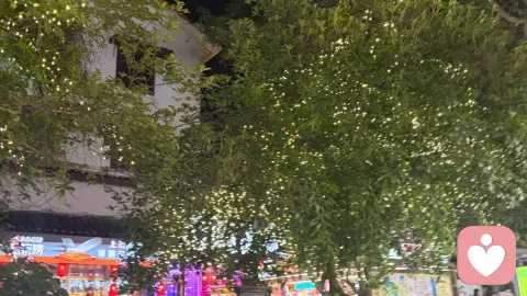 独来独往的人,是人间清醒的少数派