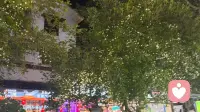 独来独往的人，是人间清醒的少数派