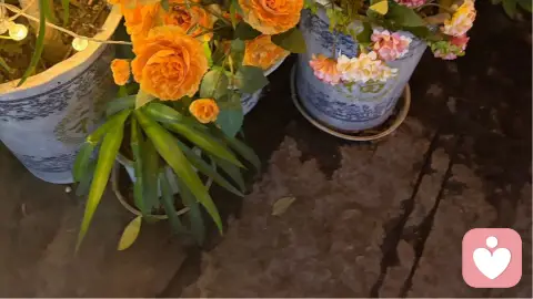深陷内耗的婚姻,是独自硬扛的煎熬