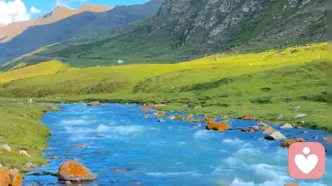很多沉默,曾经都是最安全的出口