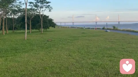允许情绪慢慢流淌，不必催促自己立刻释怀