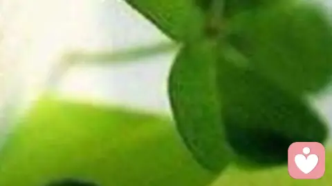 需求是真的，出口是错的——一个很少被认真讨论的困境