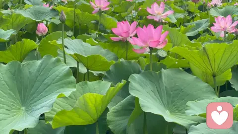 修复感情，从看见自己开始