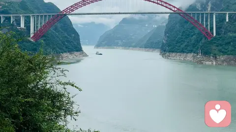 为什么“道理都懂,就是改不了”?——从大脑发育看习惯的形成与改变