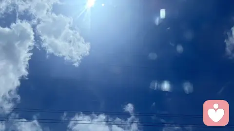 梦的世界
