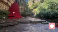 每日一句！