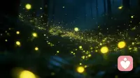 原生家庭的镜子：你与父母的关系就是你与自己的关系