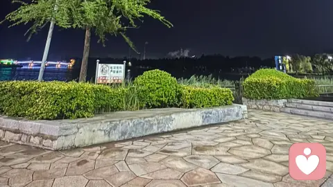 不必害怕离婚,它只是还给你完整的自己